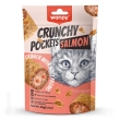 تشویقی گربه ونپی Crunchy Pocket Salmon سالمون 60 گرمی
