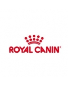 غذای خشک سگ رویال کنین، غذای خشک سگ royal canin