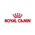 غذای خشک گربه رویال کنین RoyalCanin