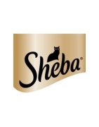 خرید کنسرو گربه شبا Sheba قیمت