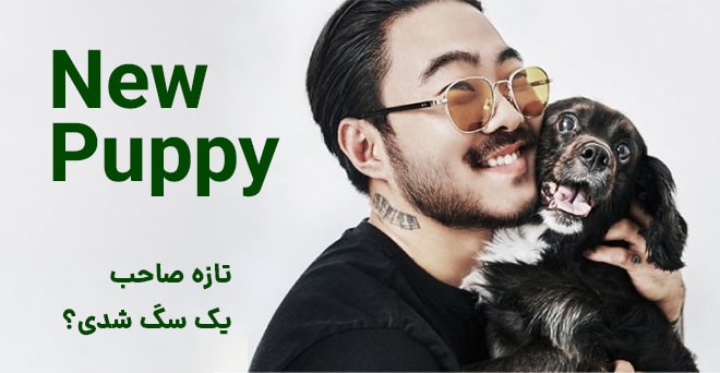 تازه صاحب یک سگ شدید؟