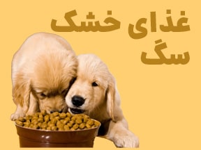 غذای خشک سگ