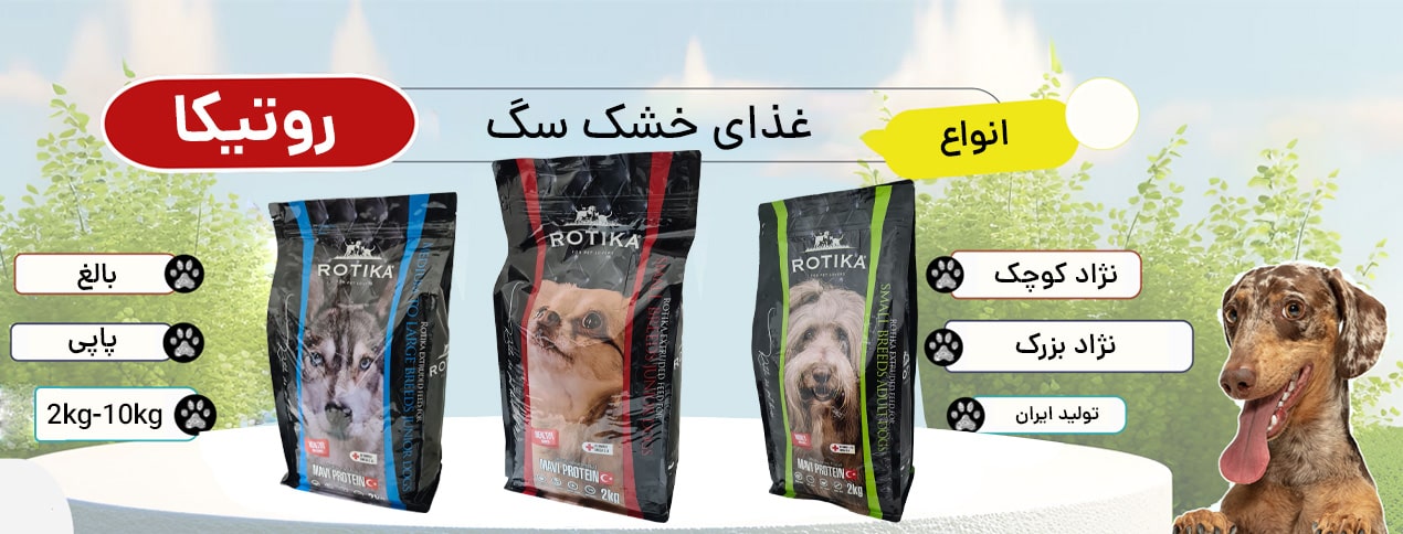 غذای خشک سگ