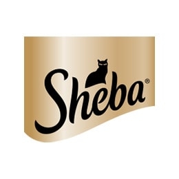 شبا - Sheba