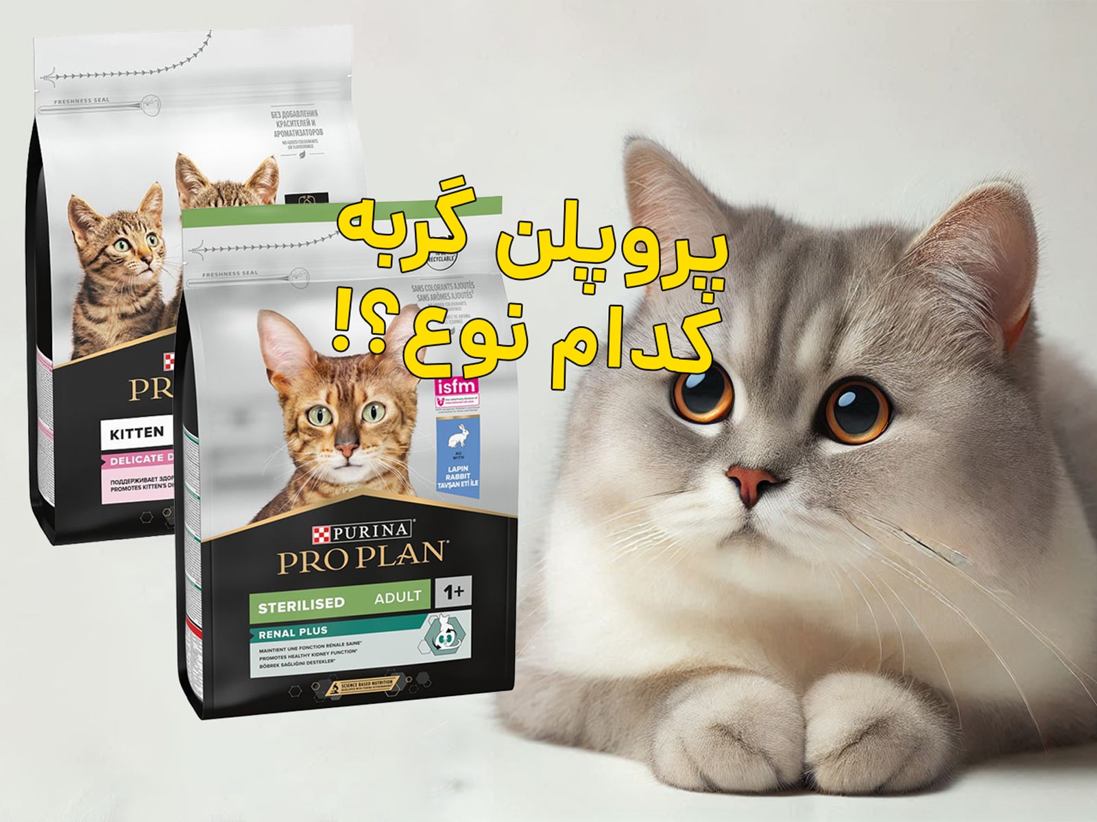 راهنمای انتخاب غذای مناسب از محصولات پروپلن برای گربه‌ها