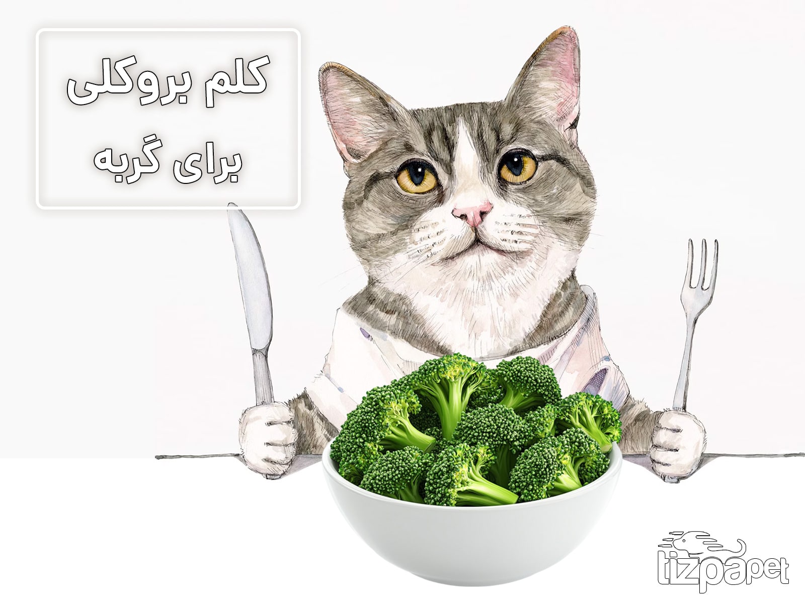 آیا گربه ها می توانند کلم بروکلی بخورند؟