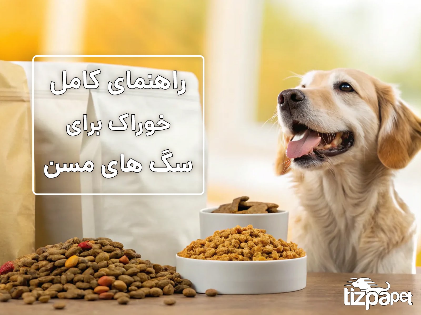 آیا سگ من به غذای مخصوص سگ های سالمند نیاز دارد؟